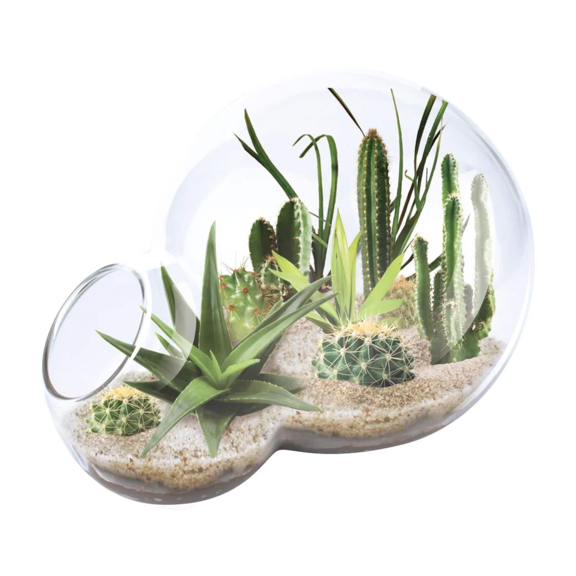 Double Sphere Glass Terrarium - Desert Escape Growarium